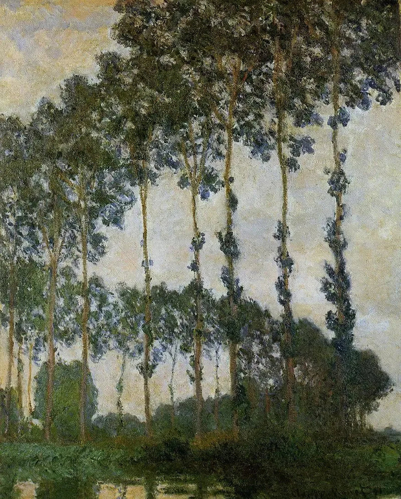 Poppeltrær nær Giverny, overskyet vær - Claude Monet