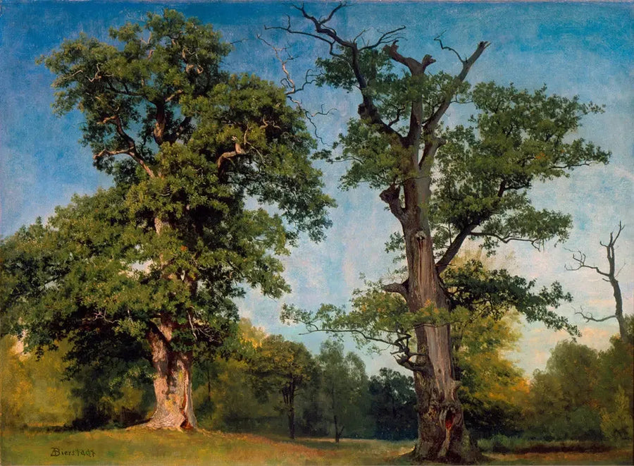 Pionerer av tre, California - Albert Bierstadt

Source:
Pionniers des bois, Californie - Albert Bierstadt