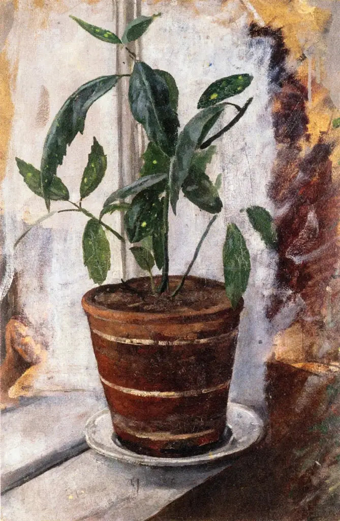 Potteplante på vinduskarmen - Edvard Munch