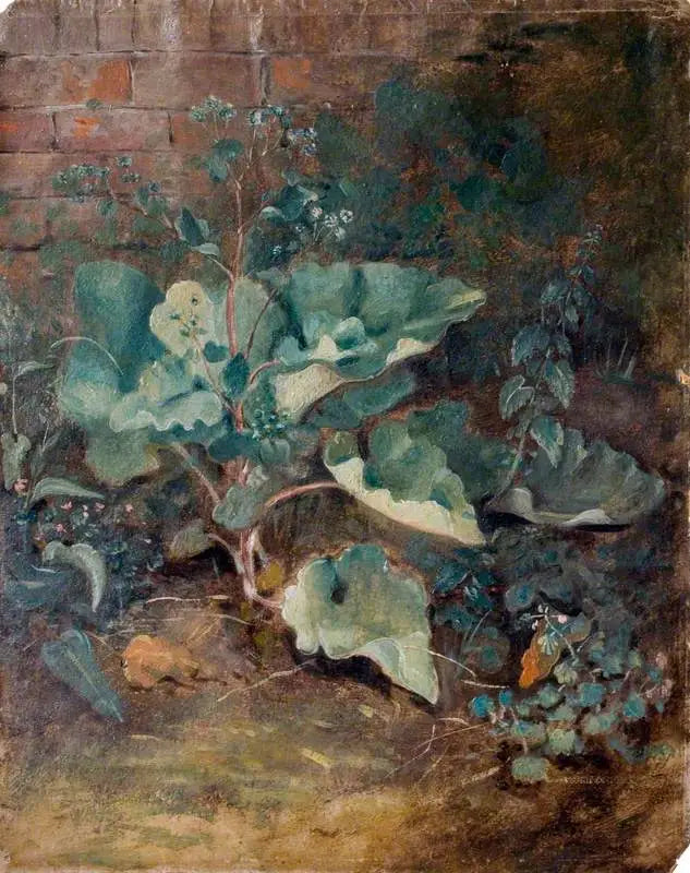 Planter som vokser nær en vegg - John Constable