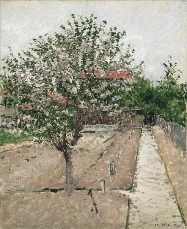 Blomstrende epletre - Gustave Caillebotte