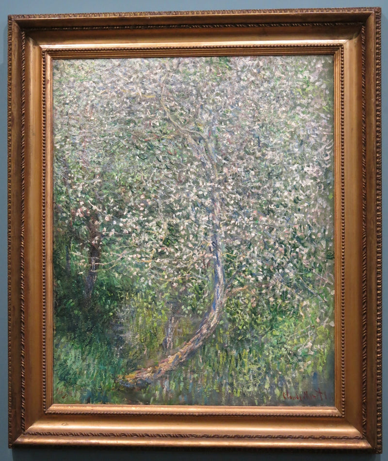 Epletre i blomst ved vannet W585 - Claude Monet