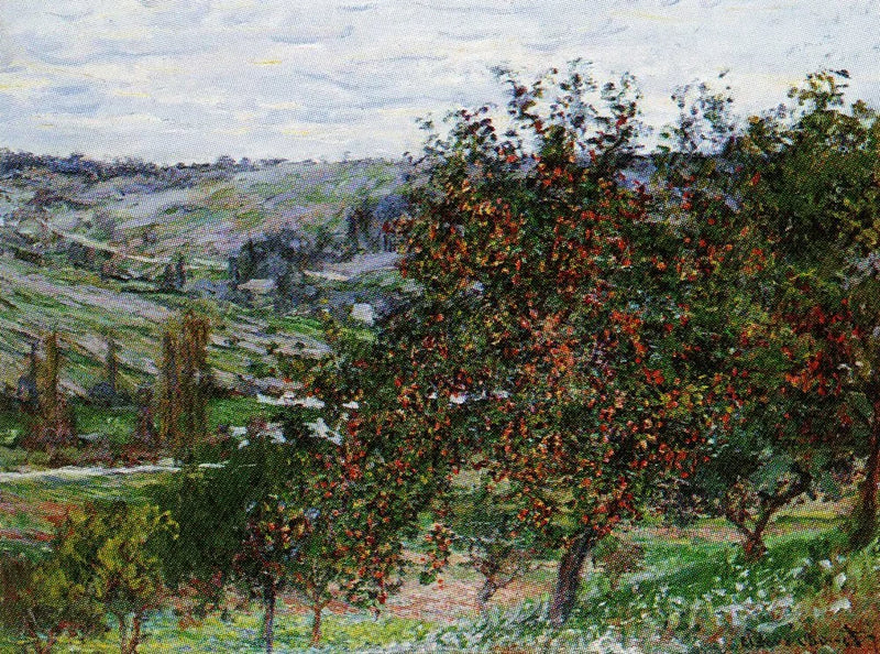 Epletrær i nærheten av Vétheuil W488 - Claude Monet
