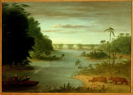 Palmebroen og Tigre-skytingen - George Catlin

Source:
Pont de Palmiers et Tir au Tigre - George Catlin