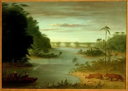 Palmebroen og Tigre-skytingen - George Catlin

Source:
Pont de Palmiers et Tir au Tigre - George Catlin
