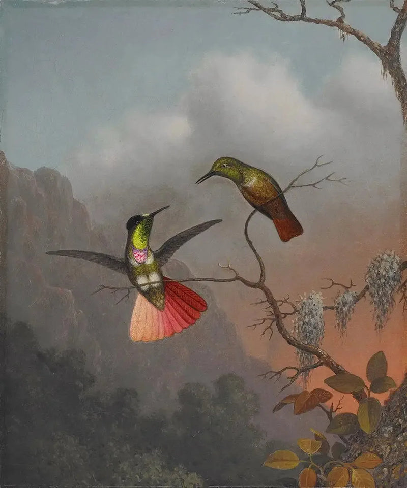 Hodeskyløsning med hette - Martin Johnson Heade

Source:
Porteur de visière à capuche - Martin Johnson Heade