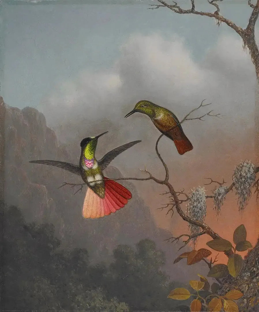 Hodeskyløsning med hette - Martin Johnson Heade

Source:
Porteur de visière à capuche - Martin Johnson Heade