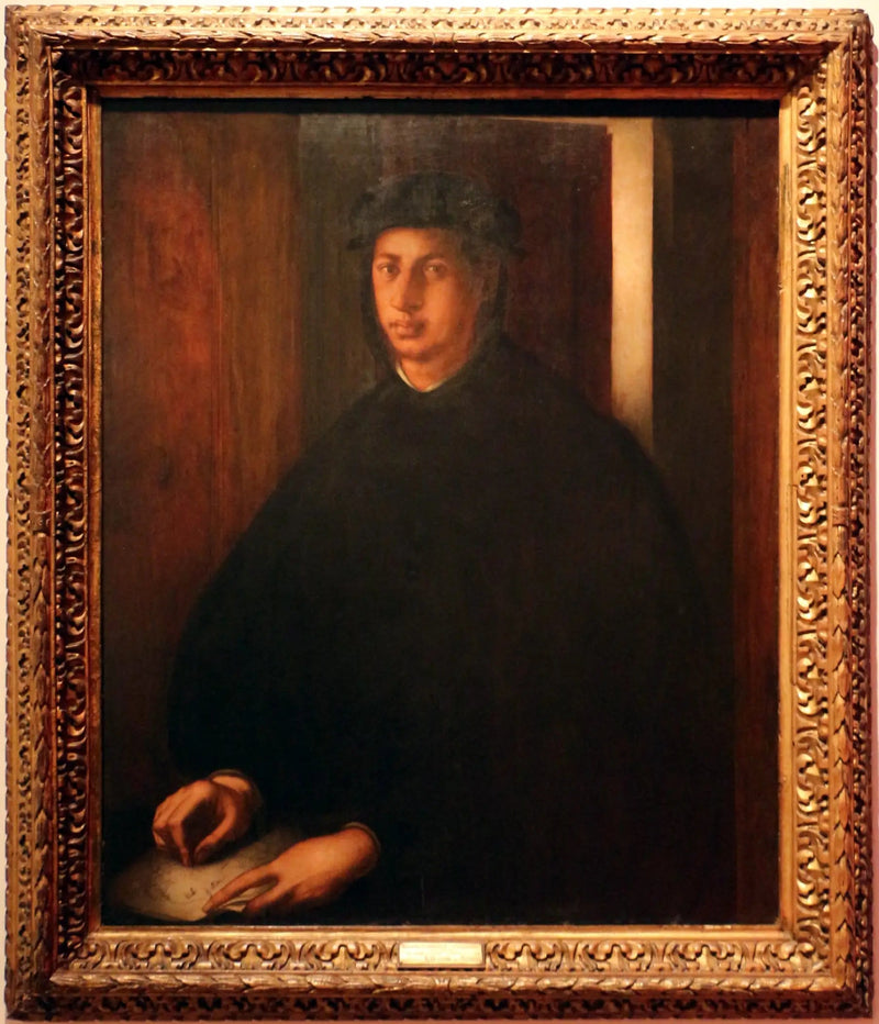 Portrett av Alexandre de Médicis - Pontormo