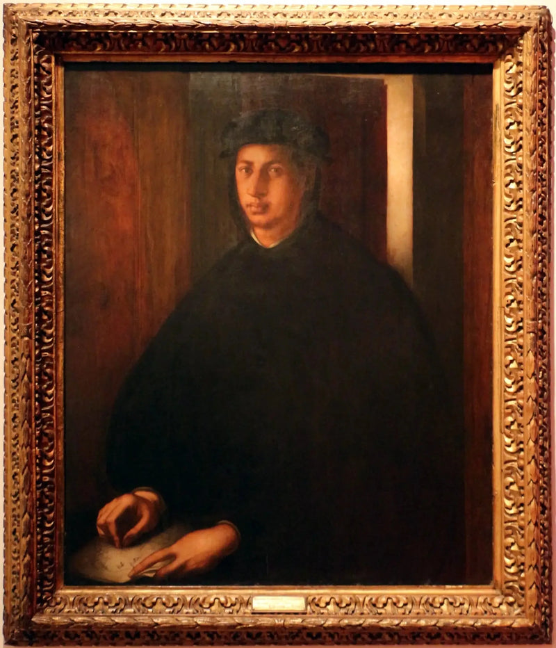 Portrett av Alexandre de Médicis - Pontormo