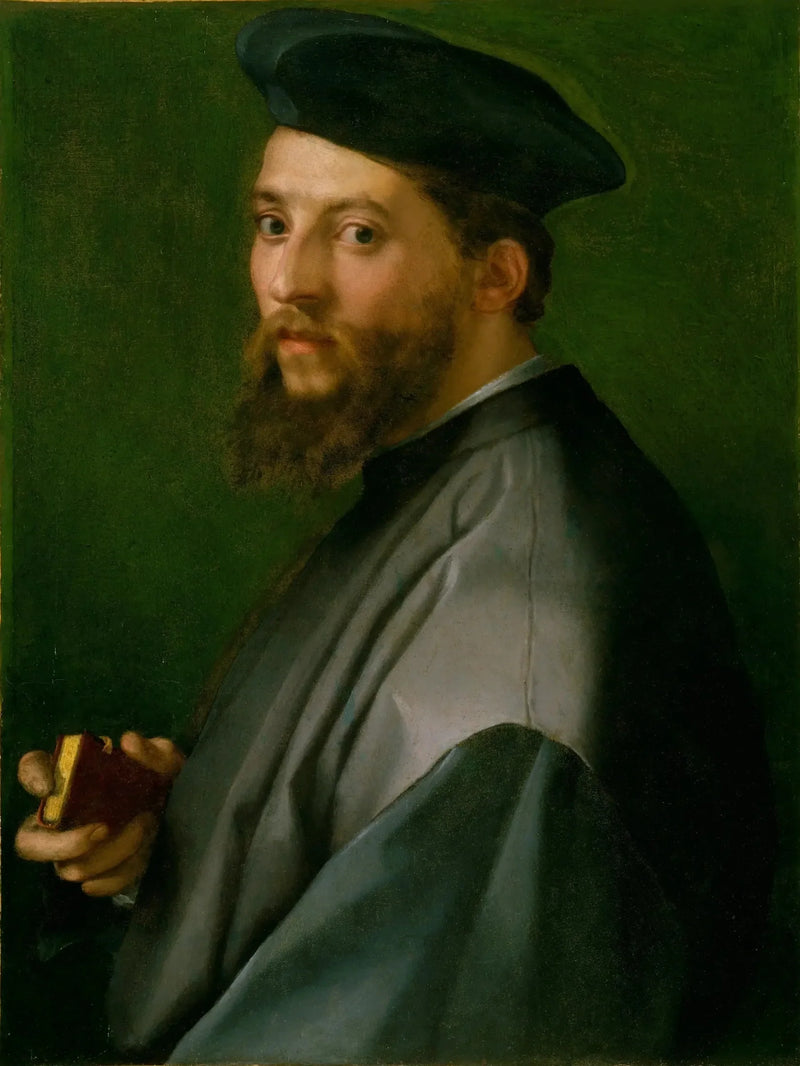 Portrett av mann - Andrea del Sarto