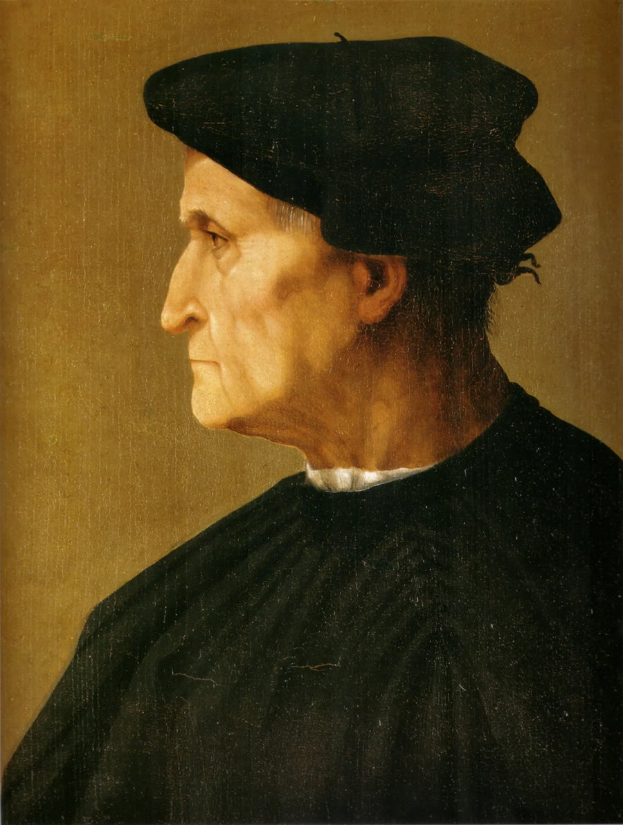 Portrett av en mann i svart - Rosso Fiorentino