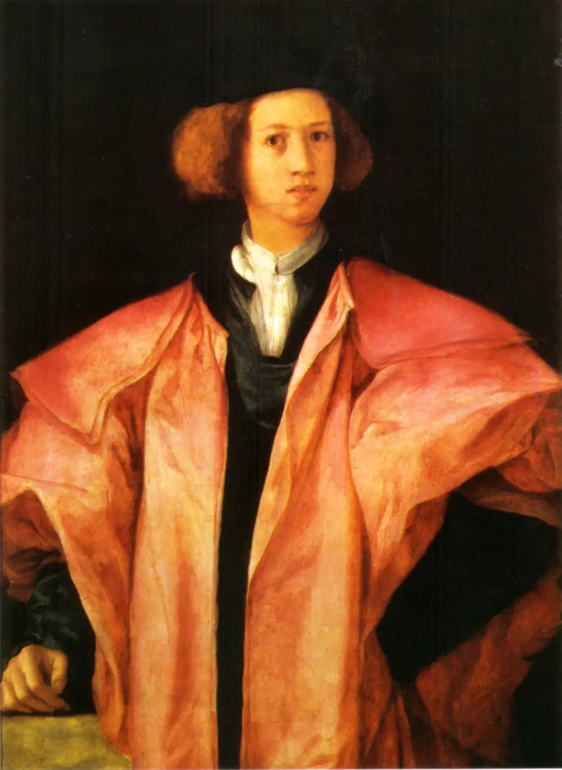 Portrett av en ung mann - Pontormo