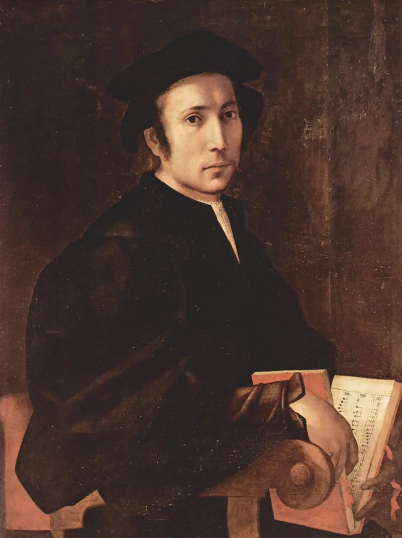 Portrett av en musiker - Pontormo