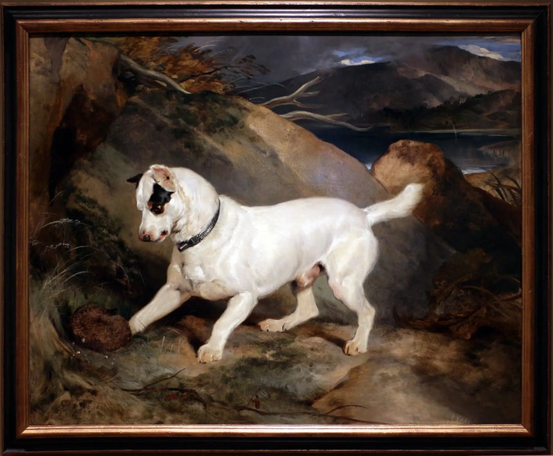 Portrett av en terrier, eid av Owen Williams, ESQ., parlamentsmedlem (Jocko med en pinnsvin) - Edwin Henry Landseer

Source:
Portrait d'un terrier, propriété d'Owen Williams, ESQ., député (Jocko avec un hérisson) - Edwin Henry Landseer