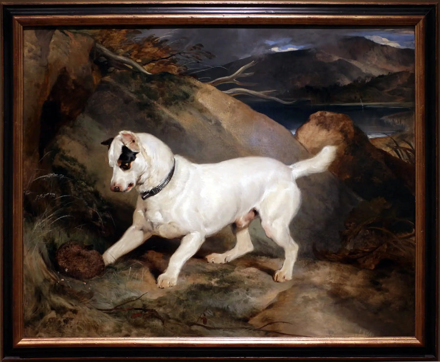 Portrett av en terrier, eid av Owen Williams, ESQ., parlamentsmedlem (Jocko med en pinnsvin) - Edwin Henry Landseer

Source:
Portrait d'un terrier, propriété d'Owen Williams, ESQ., député (Jocko avec un hérisson) - Edwin Henry Landseer