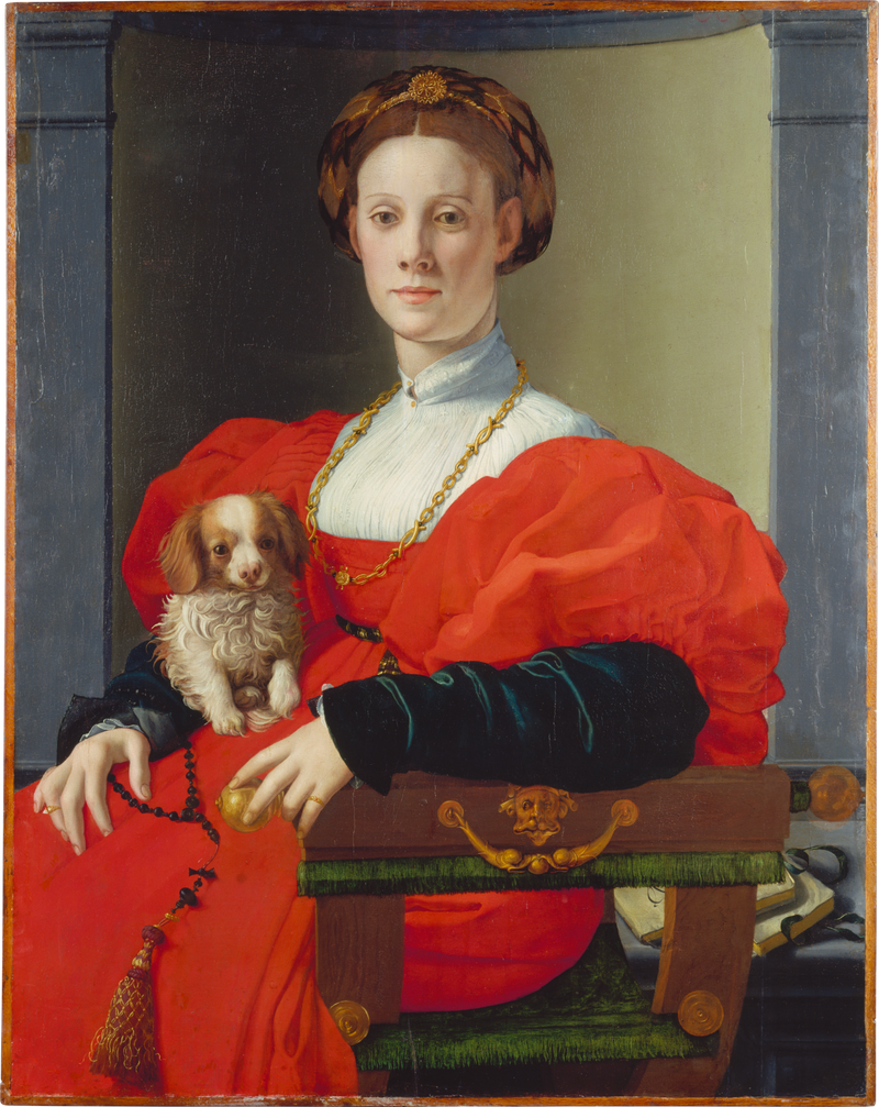 Portrett av en dame med en kjæledyrhund - Bronzino