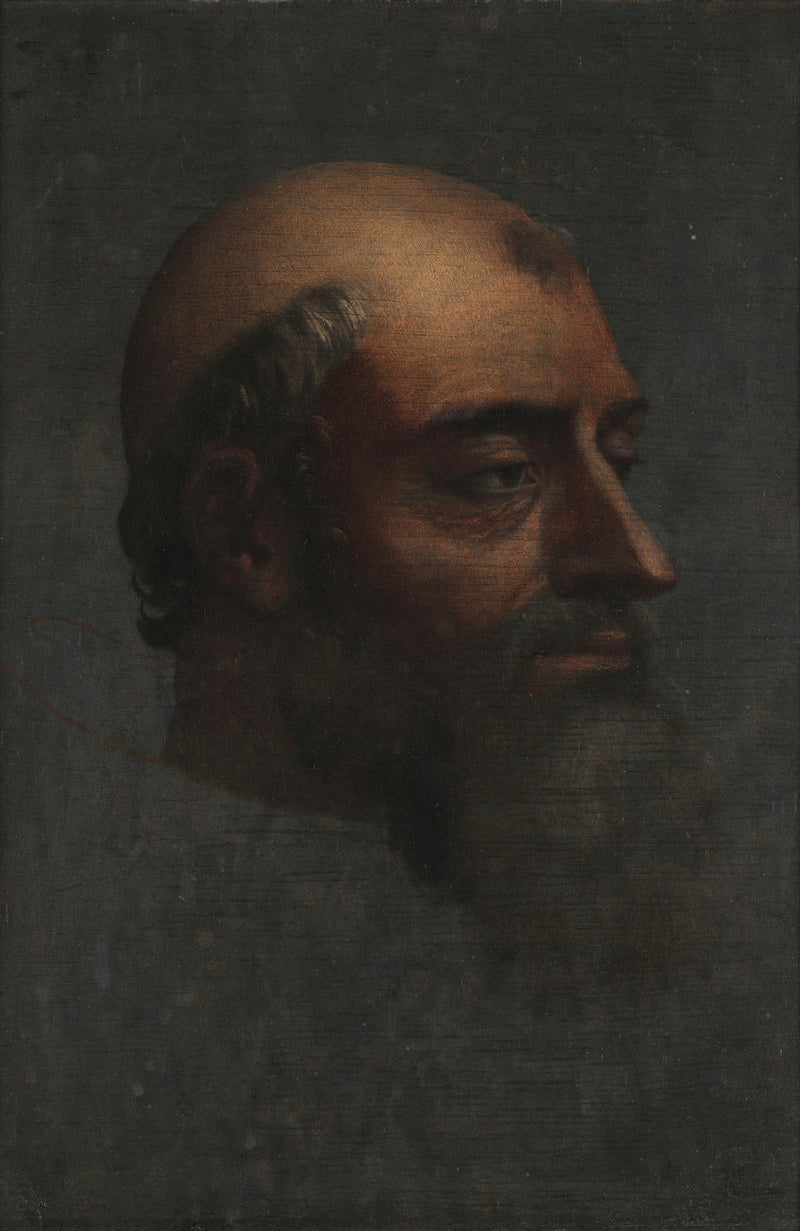 Portrett av Clemens VII med skjegg - Sebastiano del Piombo