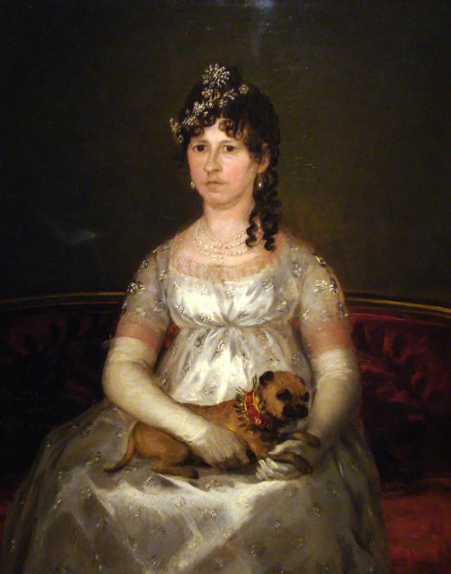 Portrett av Francisca Vicenta Chollet og Caballero - Francisco de Goya