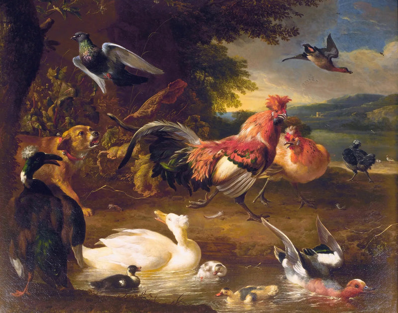 Høner og ender - Melchior de Hondecoeter