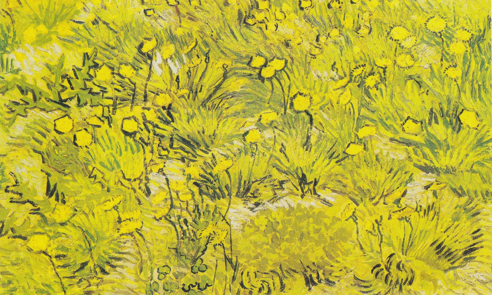 Prairie aux fleurs jaunes - Vincent van Gogh image 1 reproduction d’œuvre d’art à l’huile