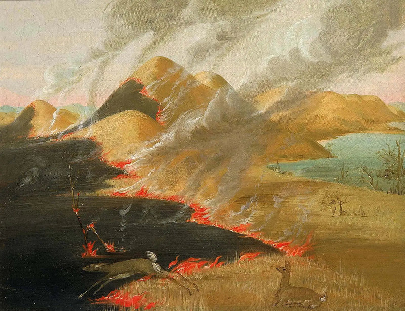 Prairie Bluffs i brann - George Catlin

Source:
Prairie Bluffs en feu - George Catlin