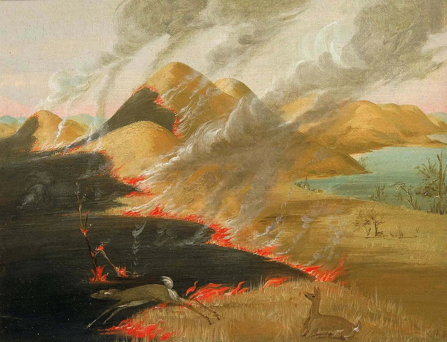 Prairie Bluffs i brann - George Catlin

Source:
Prairie Bluffs en feu - George Catlin