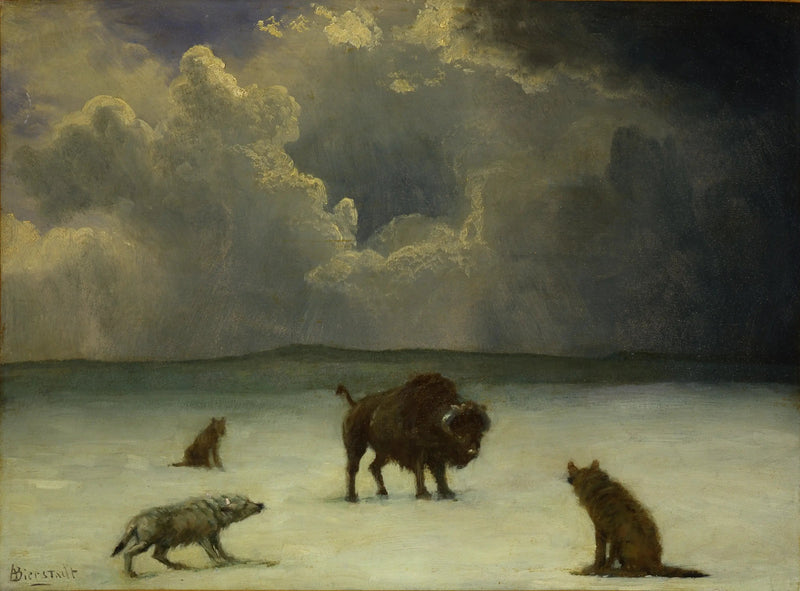 Fanget i fellen - Albert Bierstadt

Source:
Pris au piège - Albert Bierstadt