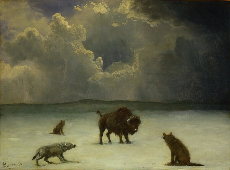 Fanget i fellen - Albert Bierstadt

Source:
Pris au piège - Albert Bierstadt