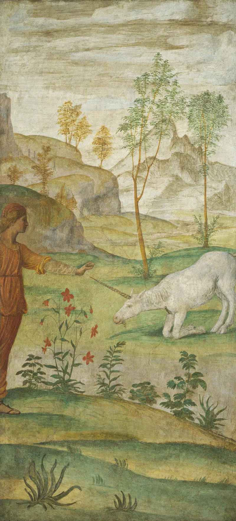 Procris og enhjørningen - Bernardino Luini
