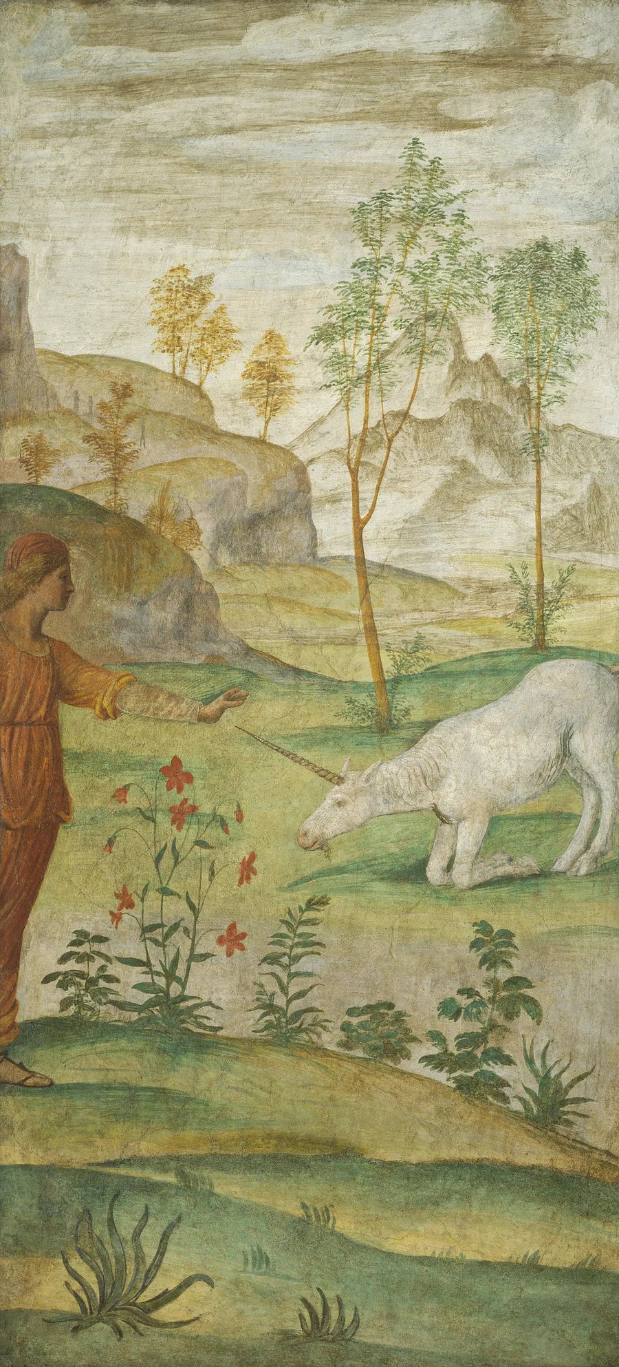 Procris og enhjørningen - Bernardino Luini