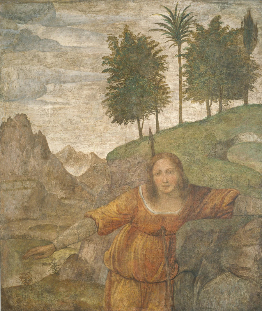 Procris truffet av Céphalés spyd - Bernardino Luini