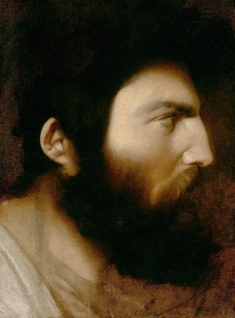 Mannprofil med skjegg - Jean-Auguste-Dominique Ingres
