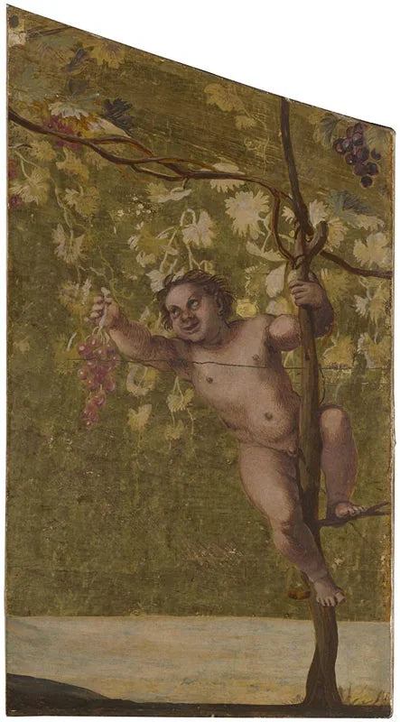 Putto som plukker druer - Annibale Carracci