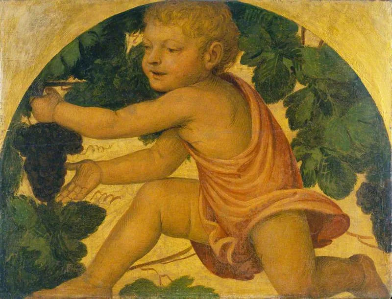 Putto som plukker druer - Bernardino Luini