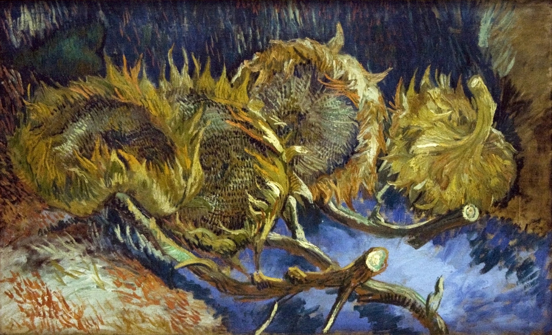 Quatre tournesols fanés F452 de Vincent van Gogh