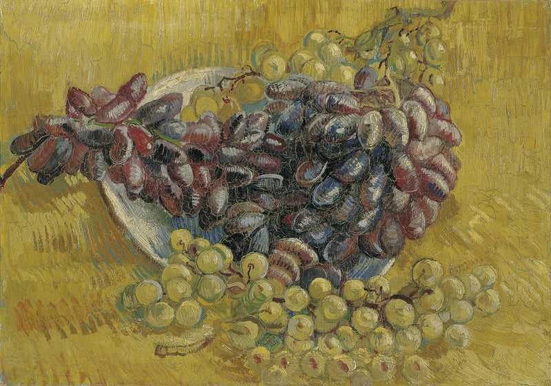 Druer - Vincent van Gogh