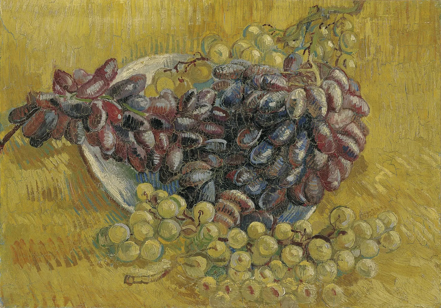 Druer - Vincent van Gogh