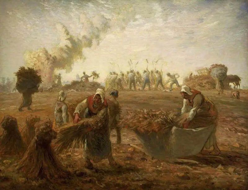 Høsting av bokhvete, sommer - Jean-François Millet