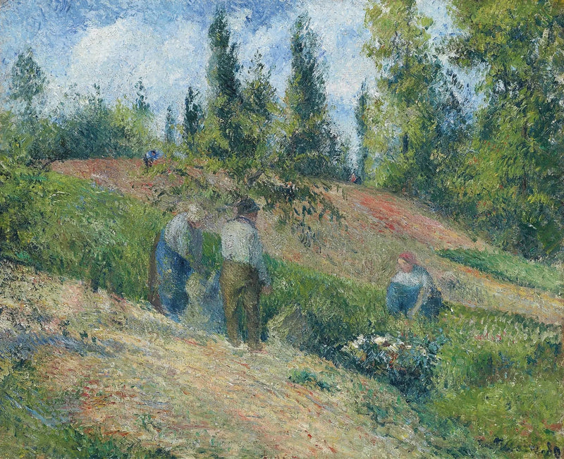 Epleplukking, Pontoise - Camille Pissarro
