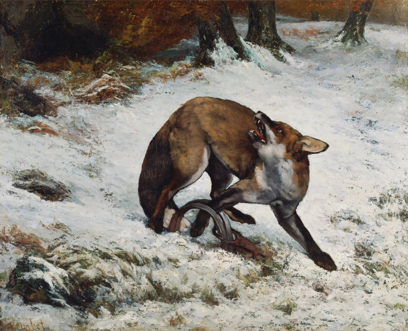 Renard fanget i en felle - Gustave Courbet