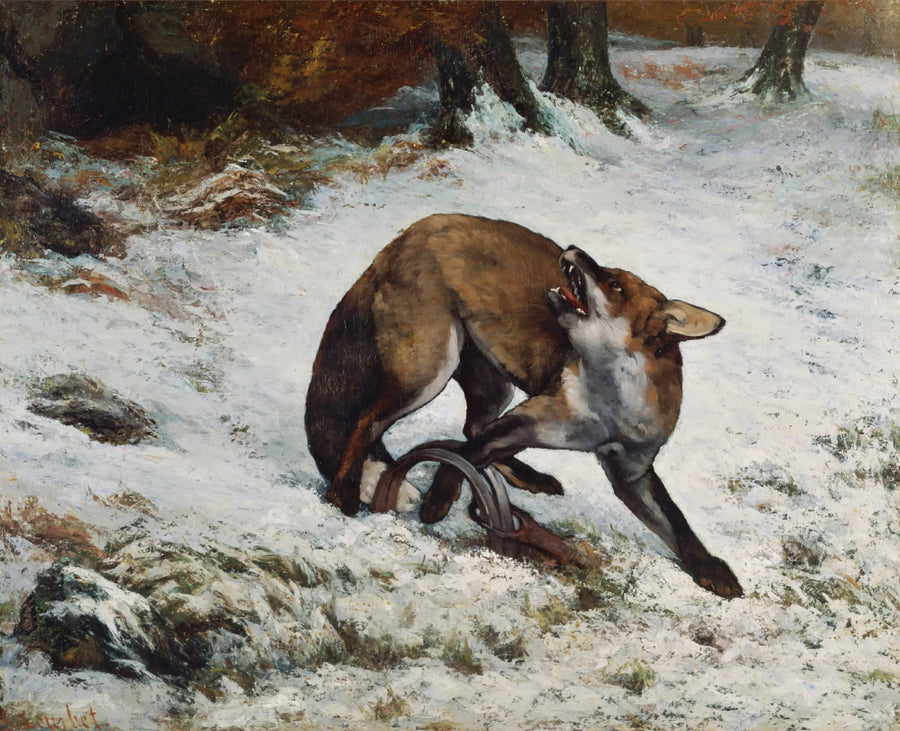Renard fanget i en felle - Gustave Courbet