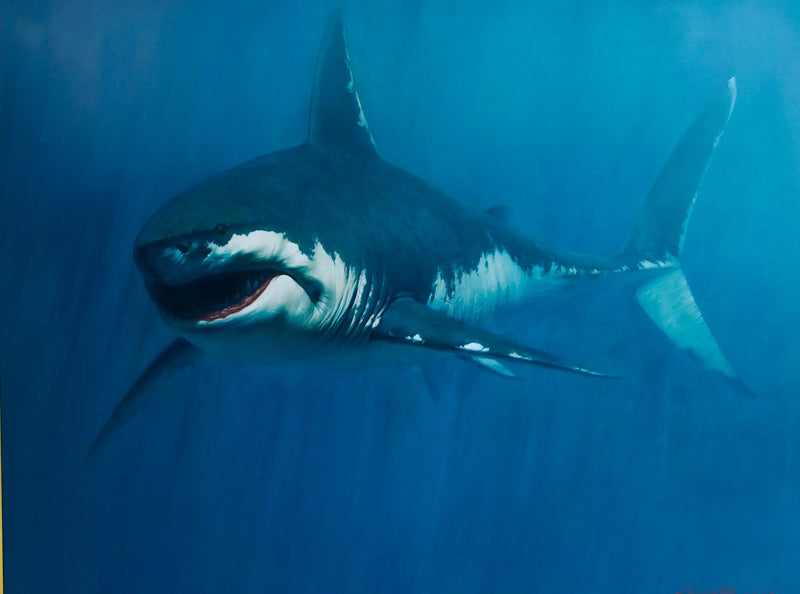 Hai | 150 x 200 cm