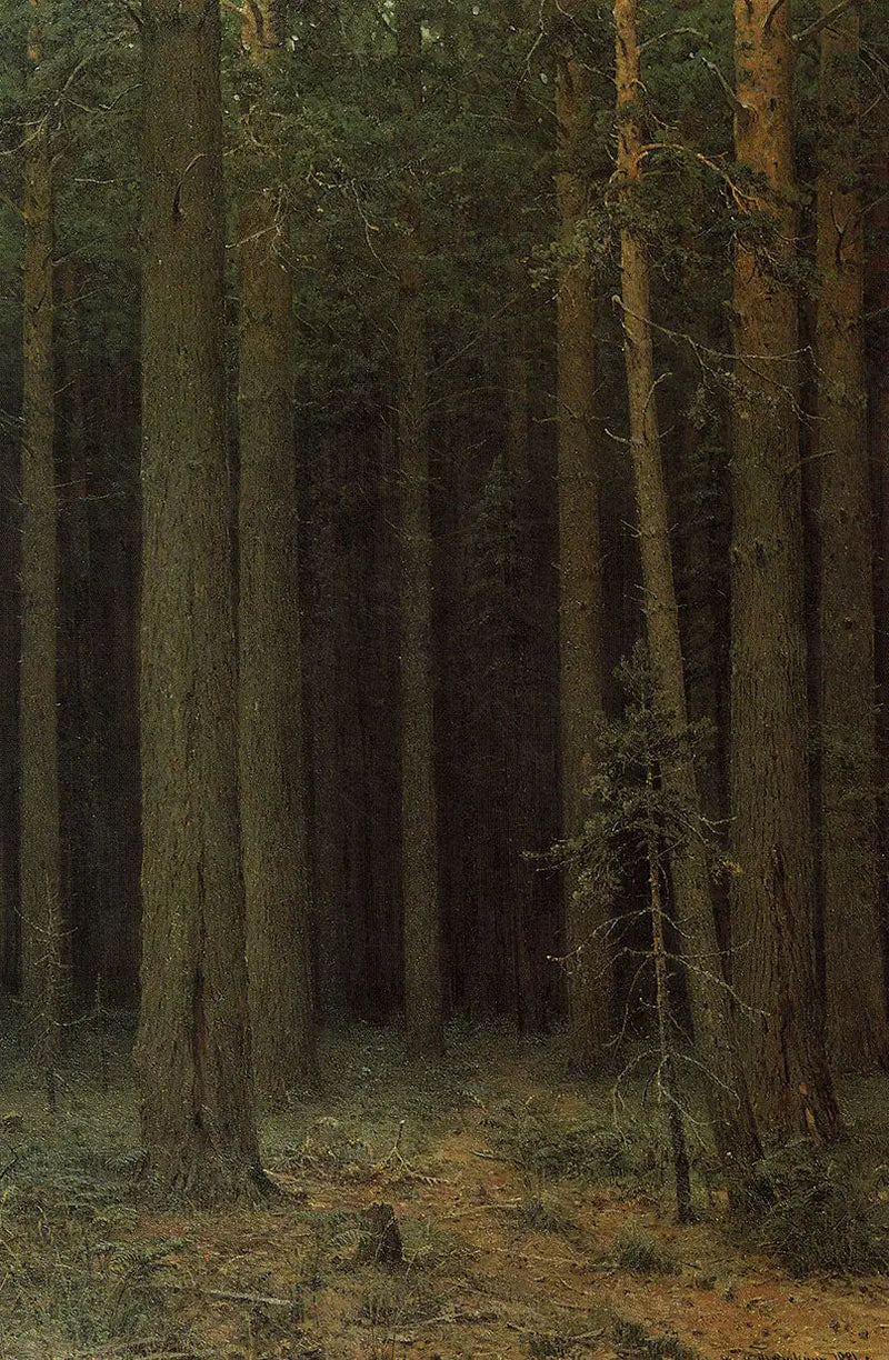 Skogreservat. Pinjeskog - Ivan Chichkine

Source:
Réserve forestière. Pinède - Ivan Chichkine