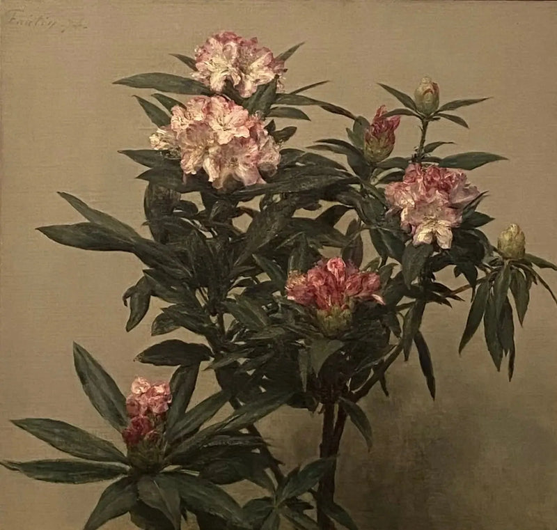 Rhododendroner - Henri Fantin-Latour

Source:
Rhododendrons - Henri Fantin-Latour