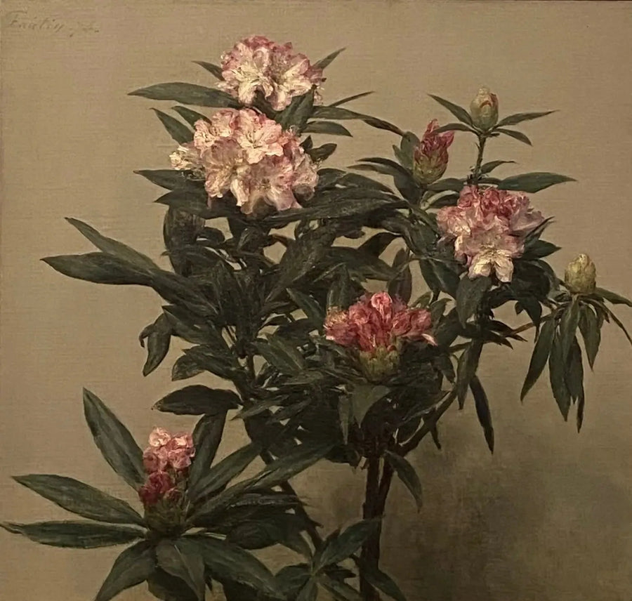 Rhododendroner - Henri Fantin-Latour

Source:
Rhododendrons - Henri Fantin-Latour