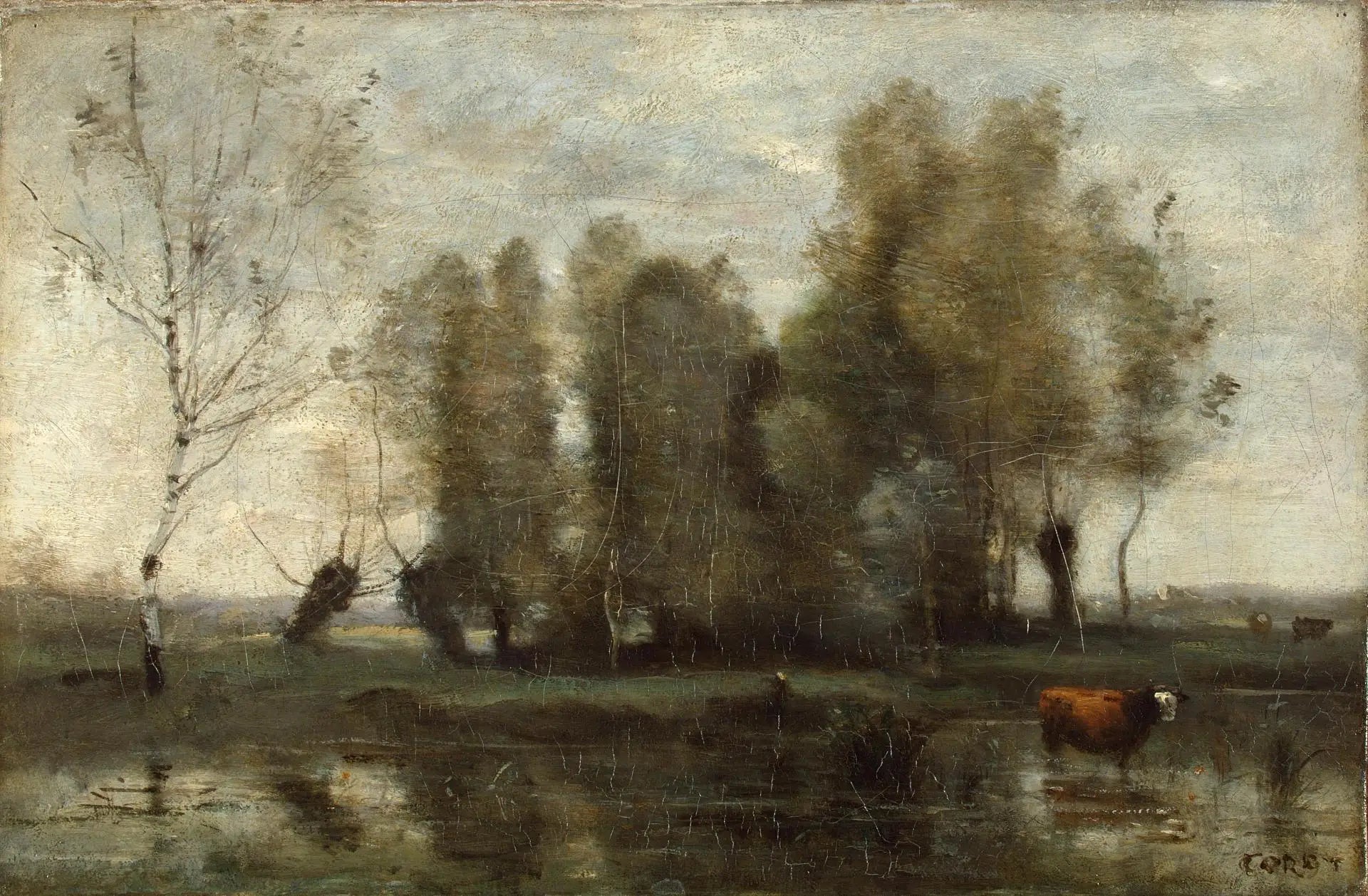 Rideau d’arbres dans les marais - Jean-Baptiste Camille Corot - Alpha Reproduction