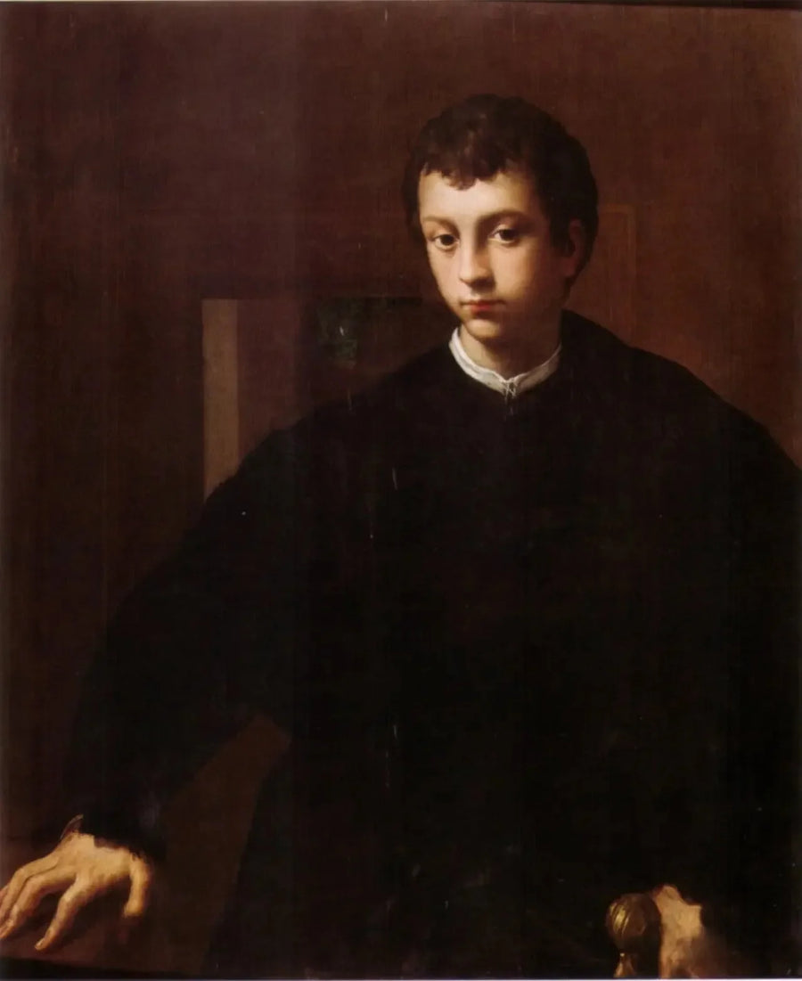 Q3937704 - Parmigianino