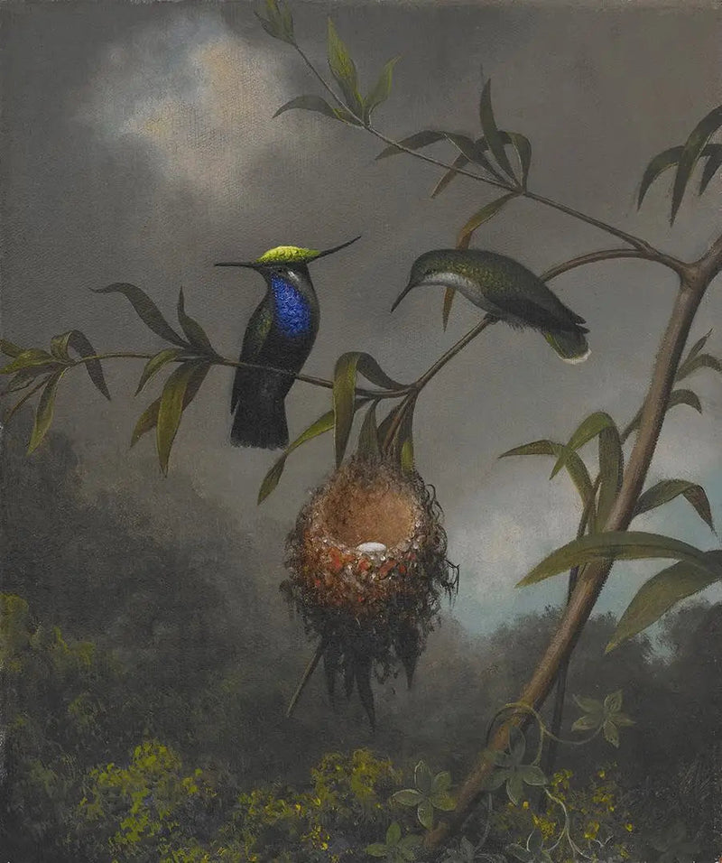 Svartbrystet roitelet - Martin Johnson Heade

Source:
Roitelet à poitrine noire - Martin Johnson Heade