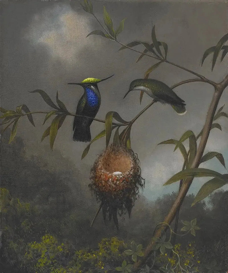 Svartbrystet roitelet - Martin Johnson Heade

Source:
Roitelet à poitrine noire - Martin Johnson Heade