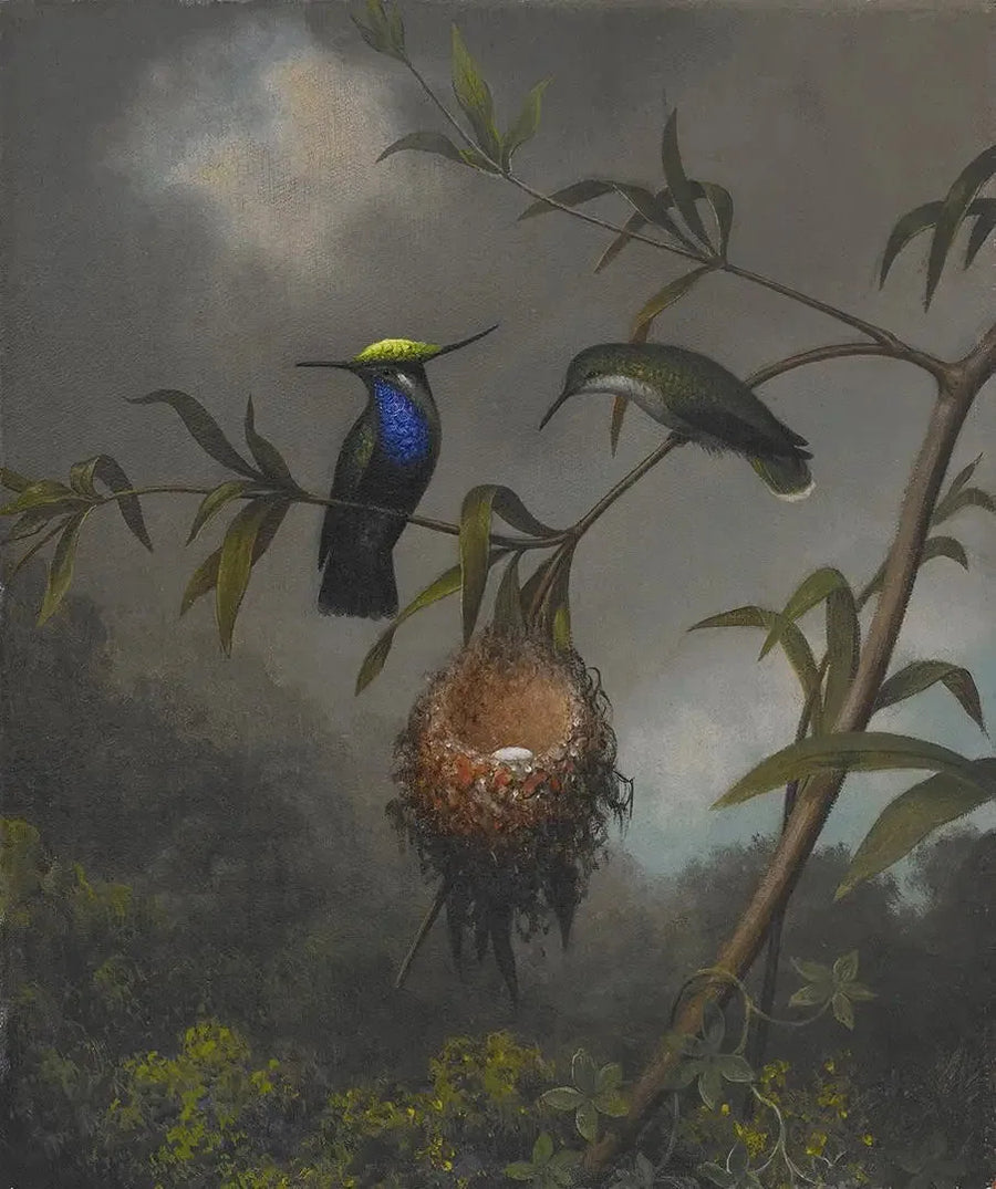 Svartbrystet roitelet - Martin Johnson Heade

Source:
Roitelet à poitrine noire - Martin Johnson Heade